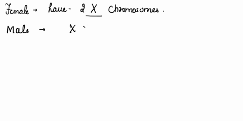 what-happens-during-the-s-phase-of-the-cell-cycle-that-is-essential-for-cell-division-34158