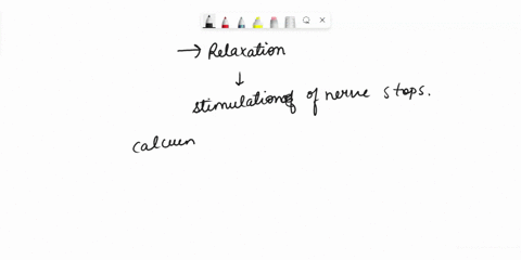 name-two-proteins-that-must-be-active-in-order-for-skeletal-muscle-to-relax-79222
