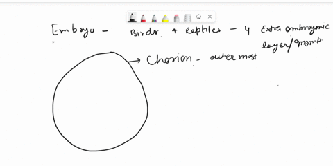 what-are-the-four-extraembryonic-membranes-of-amniotic-eggs-of-birds-and-other-reptiles-and-what-is-the-function-of-each-membrane-03202