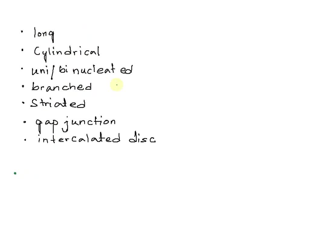 SOLVED These cells are long, cylindrical, uninucleate or binucleate