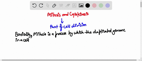 what-is-the-relationship-between-the-processes-of-mitosis-and-cytokinesis-11878