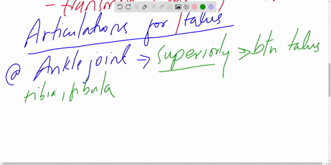 name-all-the-bones-that-articulate-with-the-talus-and-describe-the-location-of-each-15353