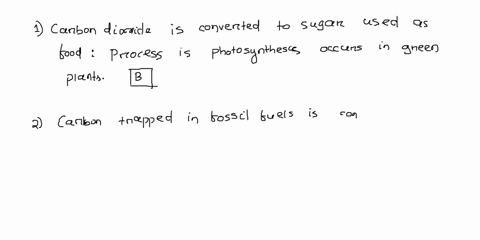using-the-diagram-above-match-the-description-to-the-corresponding-location-in-the-carbon-cycle-model-provide-the-letter-only-1-carbon-dioxide-is-converted-to-sugar-used-for-food-2-carbon-tr-90022