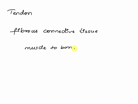 the-structure-responsible-for-attaching-muscle-to-bone-is-a-a-sphincter-b-ligament-c-fascia-d-tendon-e-myofibril-14601