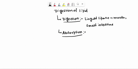 explain-how-dietary-lipids-are-absorbed-by-the-human-body-essay-please-this-is-a-biochemistry-question-54905