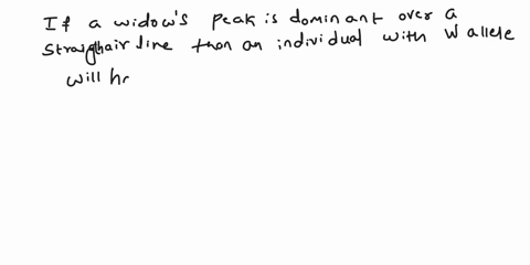 a-widows-peak-is-dominant-over-a-straight-hairline-the-genotypes-of-the-offspring-are-ww-ww-ww-and-ww-a-widows-peak-is-dominant-over-a-straight-hairline-the-genotypes-of-the-offspring-are-ww-58602