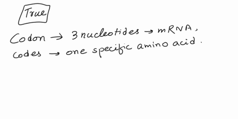 true-or-false-each-codon-codes-for-only-one-amino-acid-86707