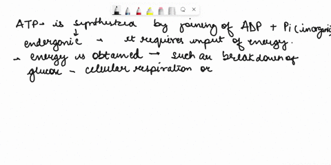the-synthesis-of-atp-from-adp-and-p-a-stores-energy-in-a-form-that-can-drive-cellular-work-b-invol-2-68404