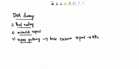 how-does-spontaneous-deamination-of-cytosine-is-repaired-explain-the-repair-pathway-required-with-the-proteins-03208