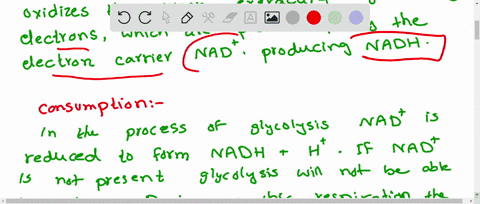 in-glycolysis-which-reactions-consumes-atp-and-nadh-which-reactions-produces-atp-and-nadh-15938