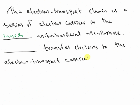 18-select-the-correct-word-from-the-list-to-complete-each-sentence-in-regards-to-the-electron-transport-chain-the-electron-transport-chain-is-a-series-of-electron-carriers-in-the-___________-34188