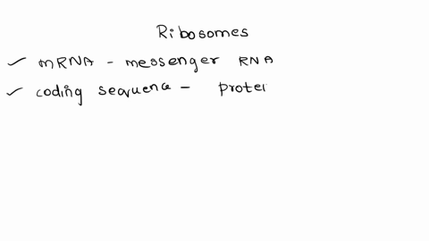 which-one-carries-genetic-message-to-ribosomes-a-trna-b-rrna-c-mrna-d-hnrna-53008