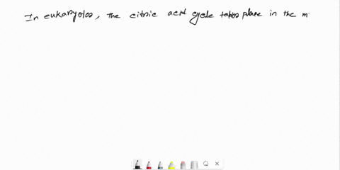 the-citric-ncid-excle-lakes-place-milechltria-ghusul-cicuonlnsnt-ditiolei-ncnunaus-ucid-cycle-endoplasmic-reticulum-gitrie-jcurentrle-thc-trunsformalion-of-citrale-chlonnalon-romemaation-hrd-74781