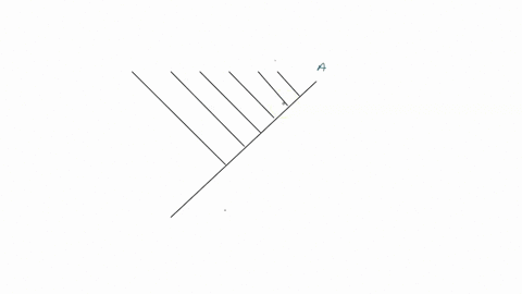 given-the-following-polarized-trait-matrix-reconstruct-the-evolutionary-relationships-of-species-hand-take-b-c-d-e-and-picture-of-it-and-upload-your-file-blackboard-feel-frr-draw-your-tree-b-88154