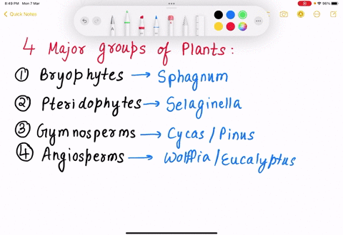 please-type-out-answer-list-the-four-major-groups-of-plants-give-an-example-of-each-and-the-main-characteristics-that-distinguish-them-from-the-other-major-groups-44907