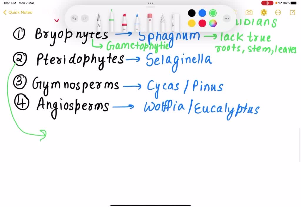 solved-give-5-example-of-plants-and-5-example-of-animals-that-existed