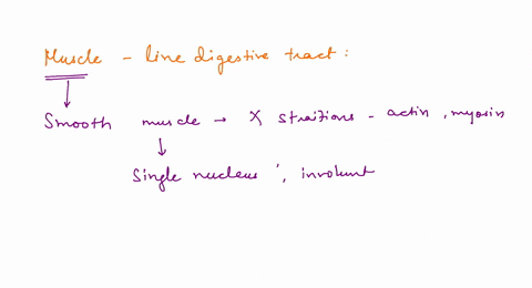 question-55-1-point-which-of-the-following-best-describes-the-muscles-that-line-the-digestive-tract-striated-tubular-branched-voluntary-non-striated-single-nucleus-involuntary-striated-tubul-29822