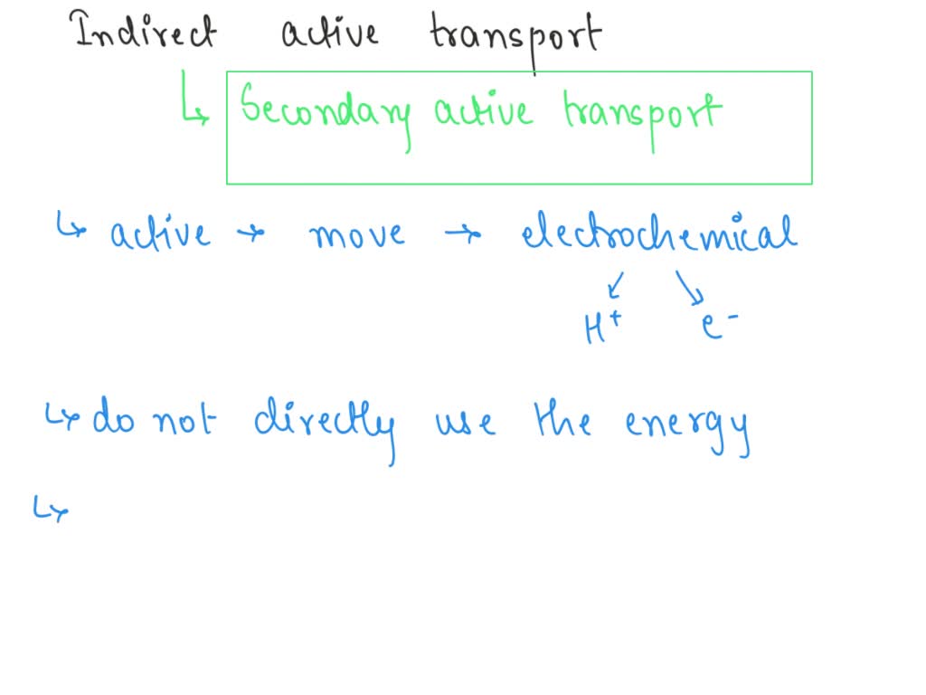 solved-what-is-indirect-active-transport-what-are-the-two-types-that