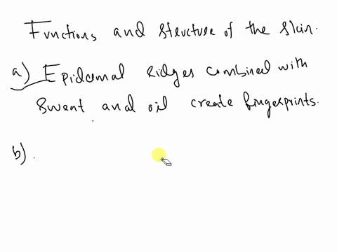 help-plz-which-statements-describe-the-functions-and-structures-of-the-skin-select-all-that-apply-epidermal-ridges-combined-with-sweat-and-oil-create-fingerprints-the-papillary-layer-is-the-24937