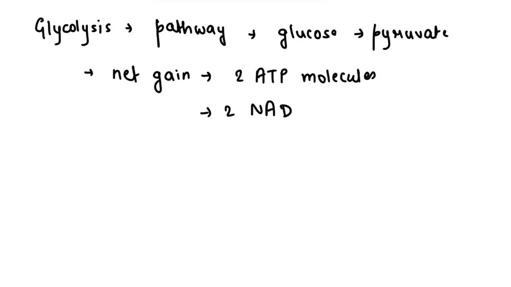 solved-for-each-molecule-of-glucose-the-glycolysis-pathway-generates