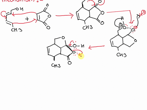 diels-alder-reaction-followed-by-intramolecular-lactone-formation-oh-oh-toluene-heat-cozh-transtrans-maleic-24-hexadiene-anhydride-1-0l-theoretical-concepts-diels-alder-reaction-esterificati-77064