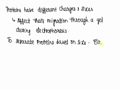 nucleic-acids-have-a-net-negative-charge-and-can-be-separated-by-gel-electrophoresis-on-the-basis-of-71477