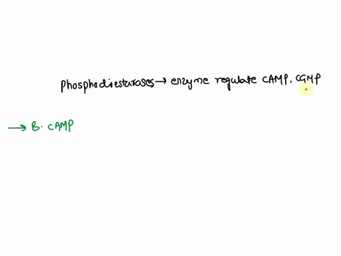 caffeine-is-an-inhibitor-of-phosphodiesterase-therefore-the-cells-of-a-person-who-has-recently-consumed-coffee-would-have-increased-levels-of-_____-a-phosphorylated-proteinsb-campc-adenylyl-64592