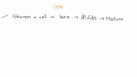 why-do-some-cells-of-the-human-body-for-example-epithelial-cells-continue-to-divide-yet-other-cells-for-example-nerve-cells-lose-their-ability-to-replicate-once-they-are-mature-describe-some-74237