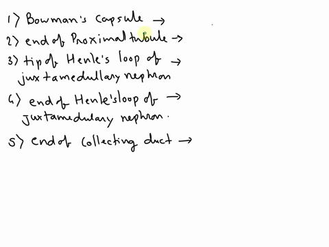 using-the-answer-code-on-the-right-indicate-what-the-osmolarity-of-the-tubular-fluid-is-at-each-of-t-71778