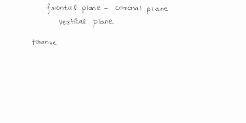frontal-plane-choose-choose-divides-body-into-superior-and-inferior-halves-divides-body-into-and-halves-divides-body-into-anterior-and-posterior-halved-tansverse-planes-sagittal-planes-choos-74994