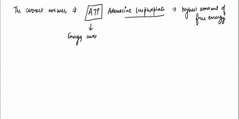 which-of-the-following-molecules-has-the-highest-amount-of-free-energy-available-to-be-broken-down-and-do-work-in-a-cell-nadh-citrate-atp-pyruvate-glucose-07213
