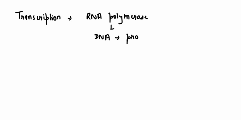 transcription-is-initiated-when-rna-polymerase-binds-to-02696