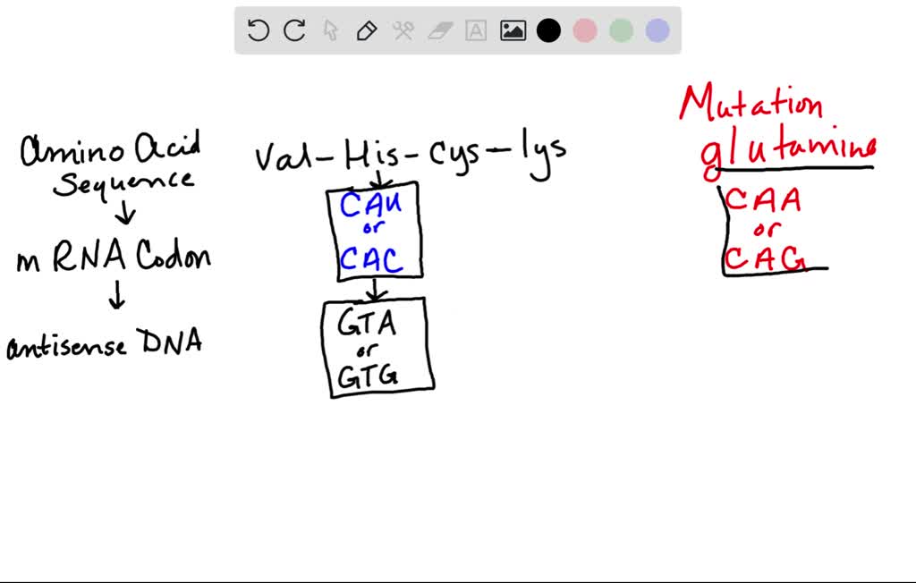 SOLVED A small section of Saccharomyces cerevisiae gene has the amino acid sequence valine