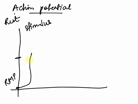explain-how-action-potentials-are-generated-and-propagated-along-neurons-93249