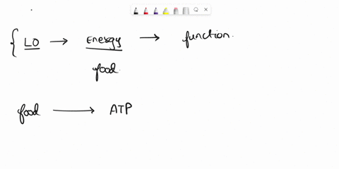 a-what-are-the-stages-of-cellular-respiration-where-do-they-occur-in-the-cell-b-what-is-the-source-of-energy-used-for-atp-synthesis-c-why-one-gram-of-fat-yields-more-atp-than-a-gram-of-starc-20165