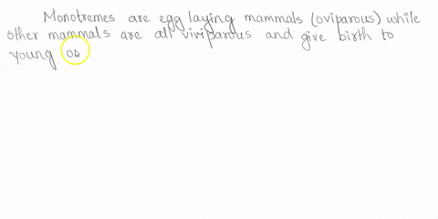 1-monotremes-are-mammals-thay-lay-eggs-such-as-the-duck-billed-platypus-give-a-brief-explanation-as-to-why-this-is-unusual-and-why-the-platypus-is-still-considered-a-mamal-45667