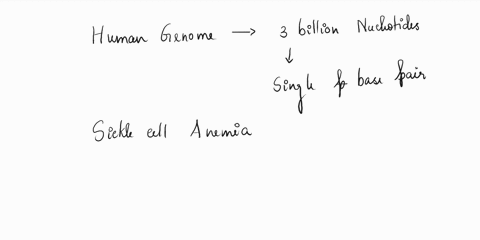 a-normal-strand-of-dna-is-shown-below-followed-by-the-same-strand-of-dna-after-mutations-have-occurred-identify-the-mutation-and-the-effect-it-would-have-on-protein-synthesis-a-this-mutation-86974