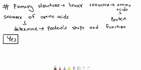 how-do-amino-acid-sequences-influence-the-properties-of-a-protein-2-points-covalent-bonding-occurs-between-parallel-amino-acid-chains-forming-pleated-sheets-disulfide-bonds-between-neighbori-52231