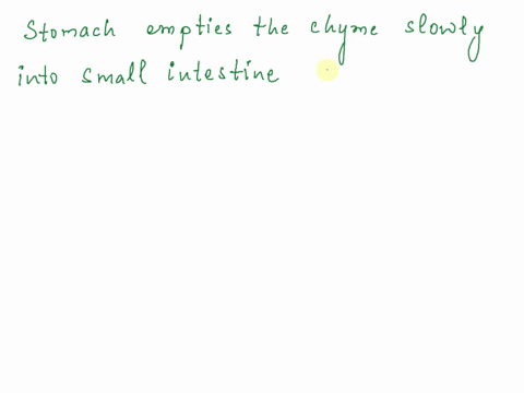 explain-the-process-of-digestion-that-takes-place-in-stomach-and-small-intestine-30568