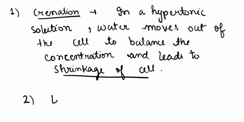 crenation-vs-lysis-know-what-happens-to-an-animal-cell-when-placed-in-hypertonic-hypotonic-isotonic-solution-35611