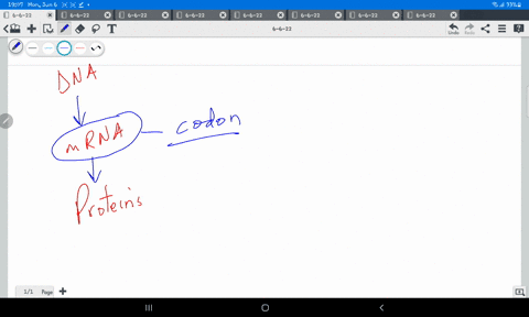 what-is-three-base-pair-group-called-on-the-mrna-strand-90437