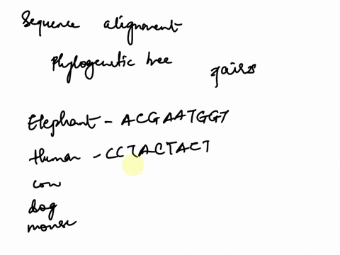 based-on-the-sequence-alignment-provided-in-the-table-build-a-pairwise-distance-matrix-for-the-species-hint-the-substitution-count-would-serve-as-the-distance-proxy-elephant-acgaatggt-human-cctactact