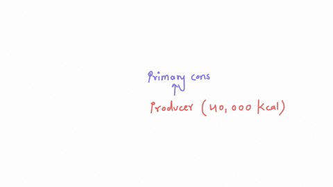 if-the-producer-has-40000-kcal-of-energy-and-the-primary-consumer-4000-1-point-kcal-how-much-energy-was-passed-on-bestishpunenil-my-drive-goo-netflix-ecology-assessi-energyeco-rmsde1faipqlsc-28148