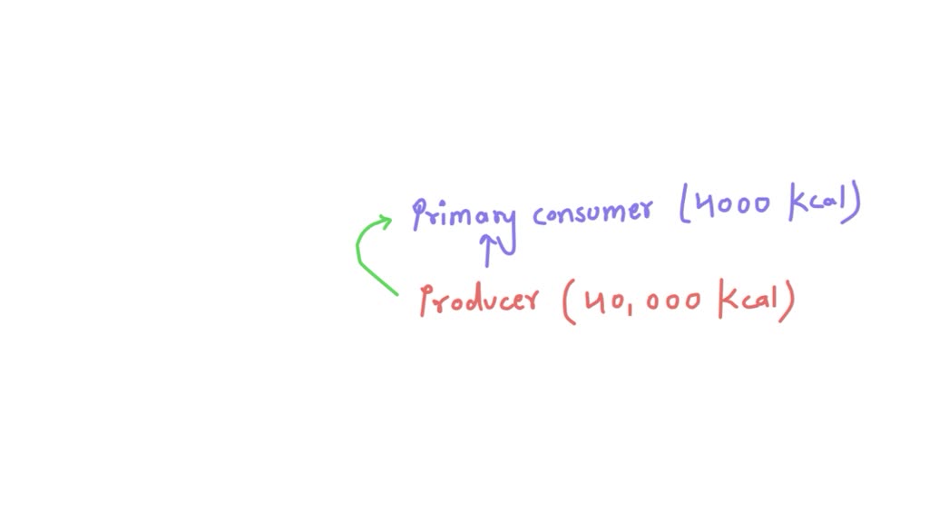 SOLVED: Consider the following food chain. If the phytoplankton ...