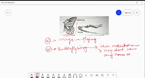 examine-the-butterfly-wing-and-the-bird-wing-shown-in-figure-2-bunedtly-wing-bird-wlng-figure-2-what-function-do-these-structures-share-how-are-these-structures-different-do-birds-and-insect-74075