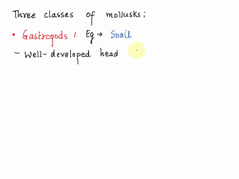 name-3-classes-of-mollusks-and-give-at-least-one-characteristic-that-is-unique-to-each-class-87117