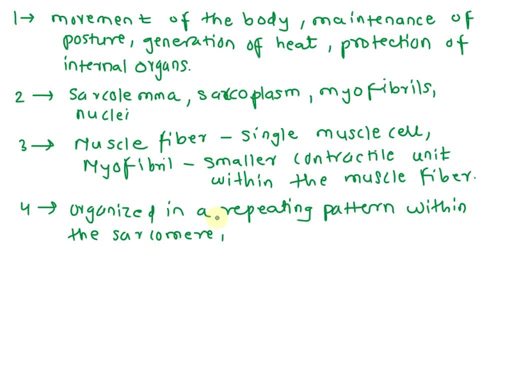 VIDEO solution: 11 1 point Somites are the origin of skeletal muscle ...