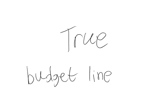 the-budget-constraint-line-shows-the-various-combinations-of-two-goods-that-are-affordable-given-consumer-income-question-10select-one-a-true-b-false