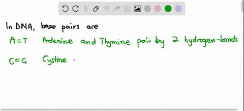 the-following-dna-sequence-is-the-template-strand-of-a-small-gene-what-is-the-amino-acid-sequence-of-the-encoded-peptide-5-gtcatggcaacatag-3-54021
