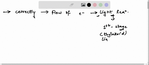 canvas-x-question-4-which-of-the-following-correctly-tracks-the-flow-of-electrons-in-the-light-reaction-owaterphotosystem-iicytochrome-complexphotosysteminadp-ophotosystemiiphotosystemiwater-04944